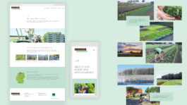 Responsive Webdesign Rabengarten WENN+ABER