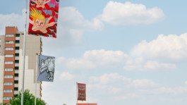 Fahnen in Hainholz WENN+ABER