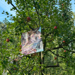 Edelhof Detailbild 2 WENN+ABER